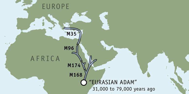 DNA - Eurasian Adam